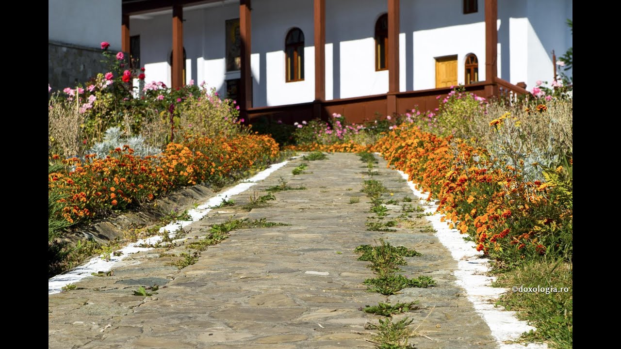 Părintele Serafim Aldea - Cum să găsim calea de întoarcere către Hristos, către Viață?