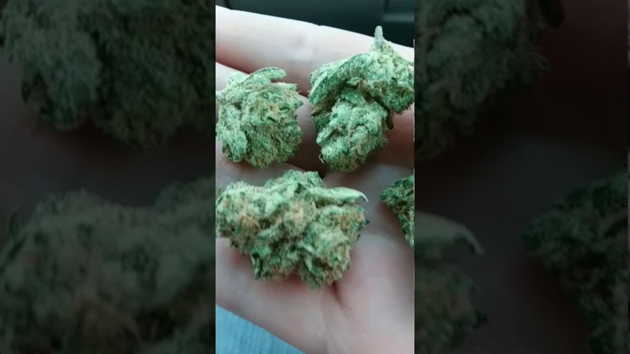 Oregons finest