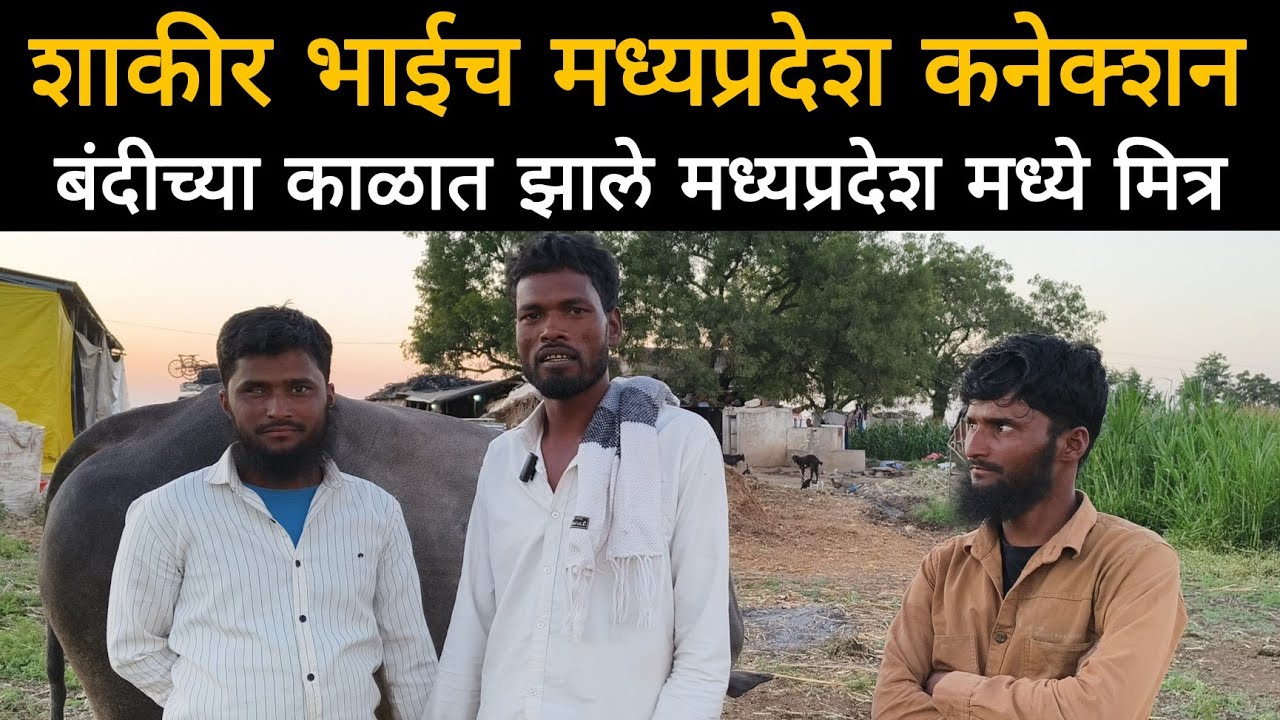 शाकीर भाईच मध्यप्रदेश कनेक्शन ? | बंदीच्या काळात झाले मध्यप्रदेश मध्ये मित्र