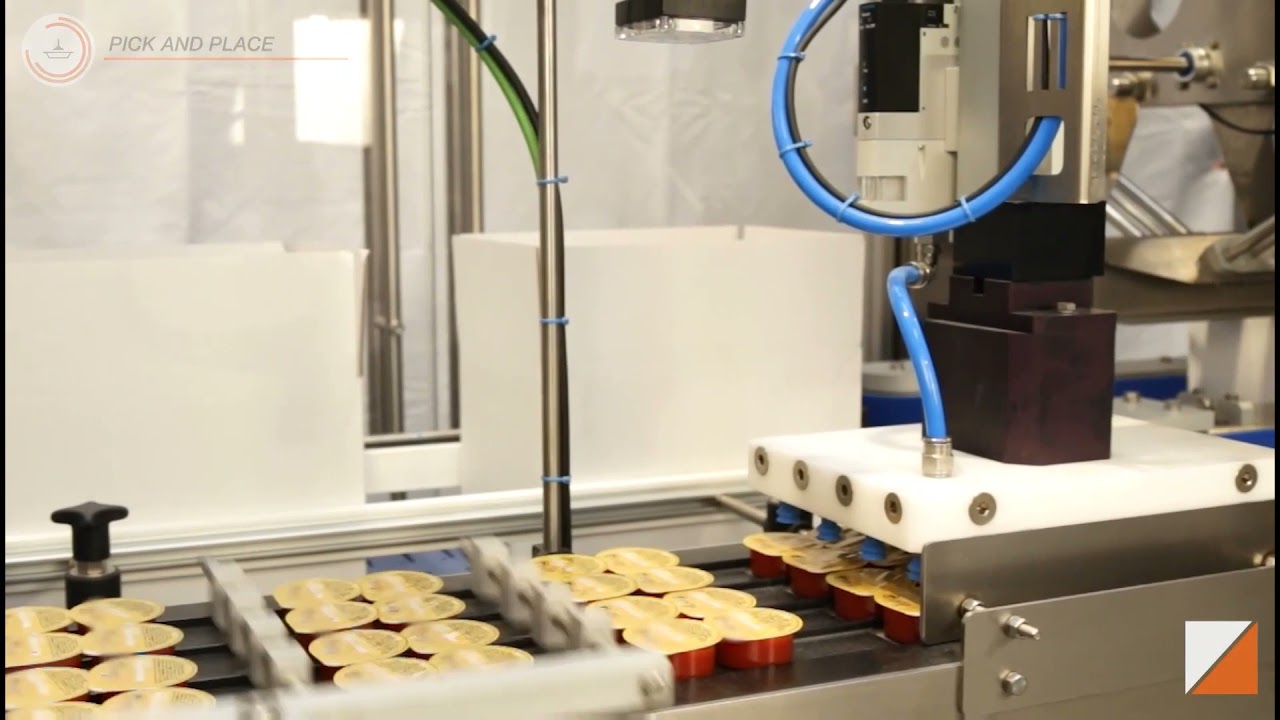 Ilpra Turnkey Solution Form Fill Seal Case Packer Palletizer
