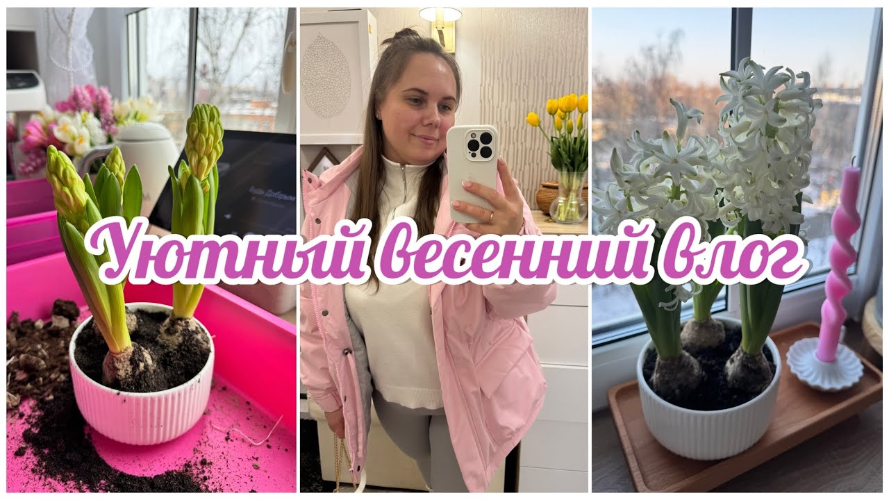 🌷ПОЛЕЗНЫЕ НАХОДКИ FIX PRICE, WB, OZON 🛍️/ ГОТОВЛЮ В АЭРОГРИЛЕ 🍗/ МЯТНЫЕ ПРЯНИКИ 🥮🌱/ПАСХА KUCHENLAND🐣