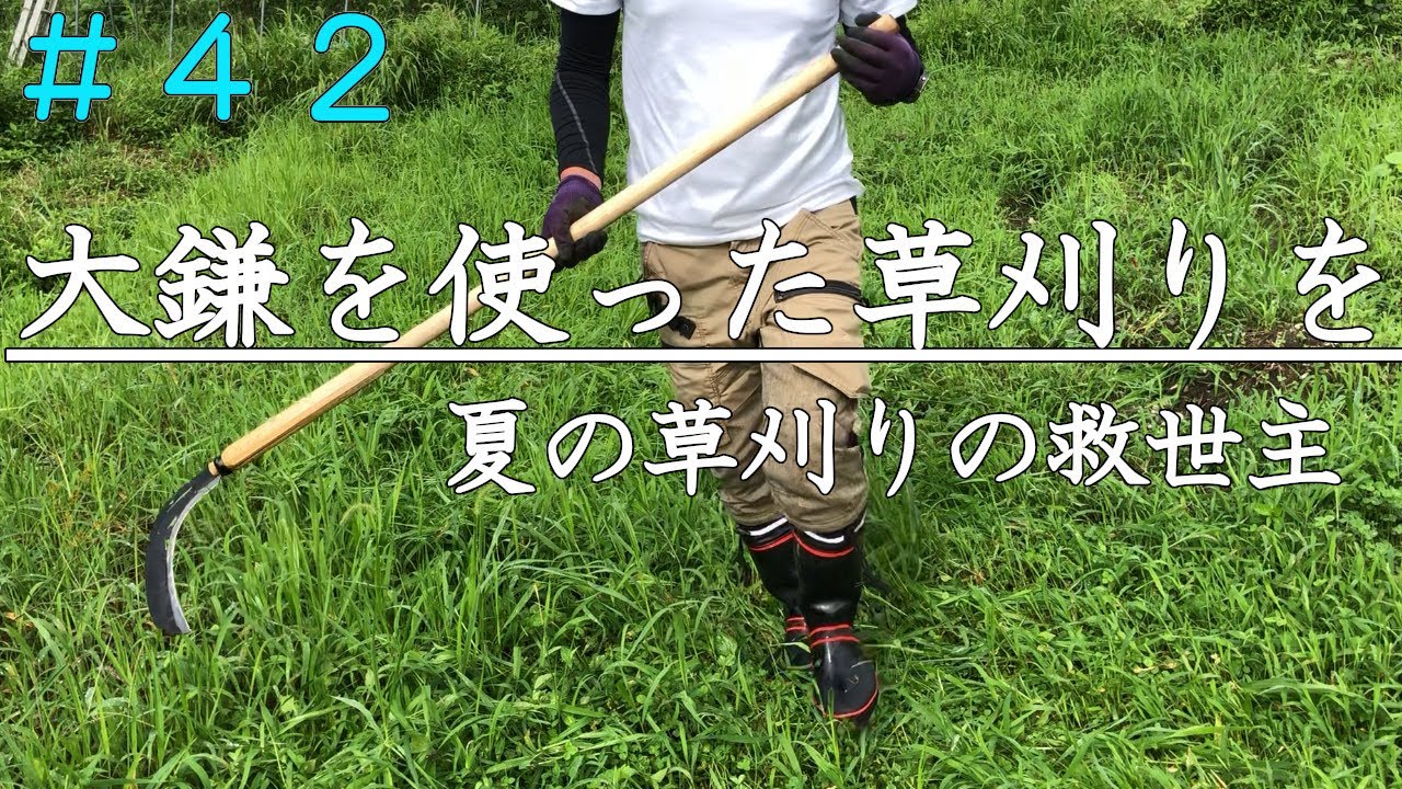 【家庭菜園】草刈りにおける大鎌という選択肢｜自然農｜草マルチ｜オニヤンマ君