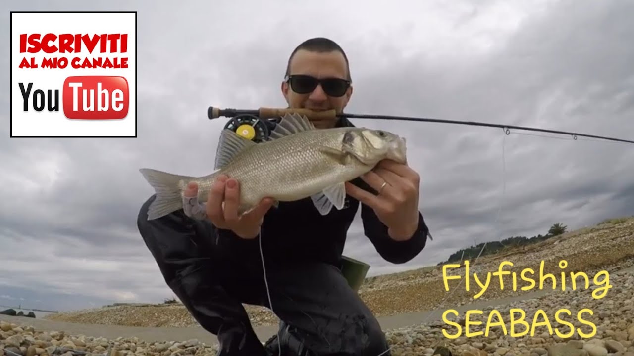 Pesca a mosca alla SPIGOLA (ATTACCO IN DIRETTA) SeabassFlyfishing (Live attack)