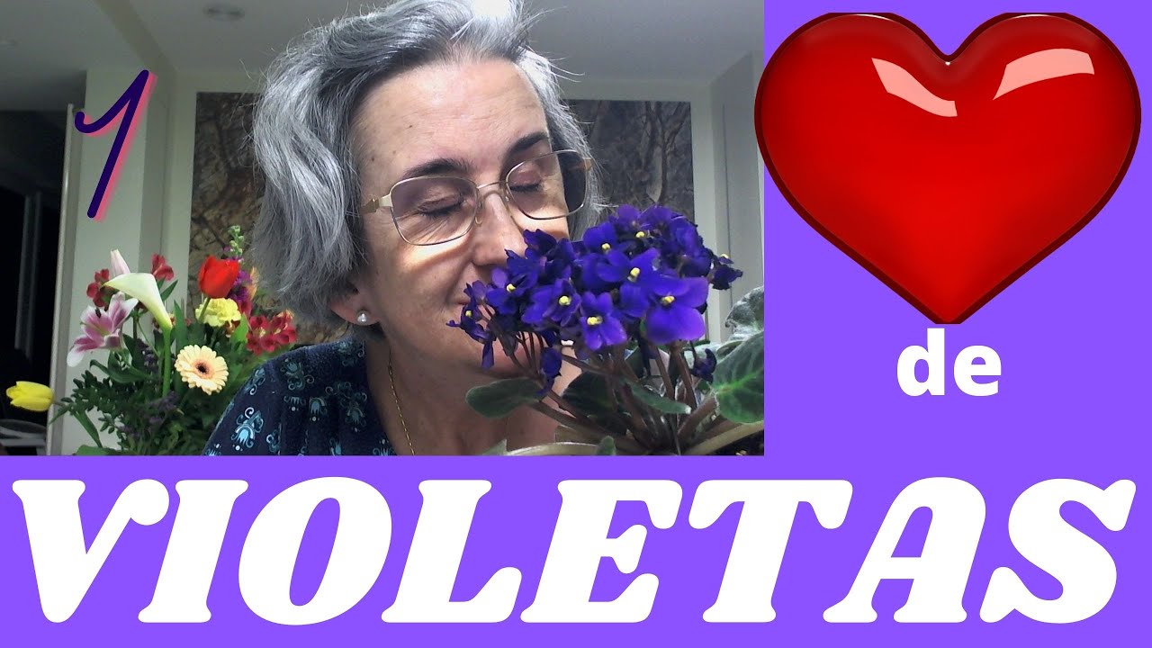 CORAZÓN DE VIOLETA AGRADABLE PERFUMES, FRAGANCIAS, AROMAS, PLACER