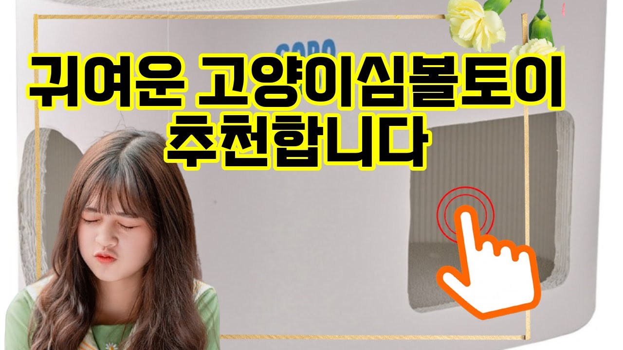 ❤️추천 고양이심볼토이 고양이의 행복한 시간! 🐾 나만의 공간에서 즐기는 고양이심볼토이 ✨