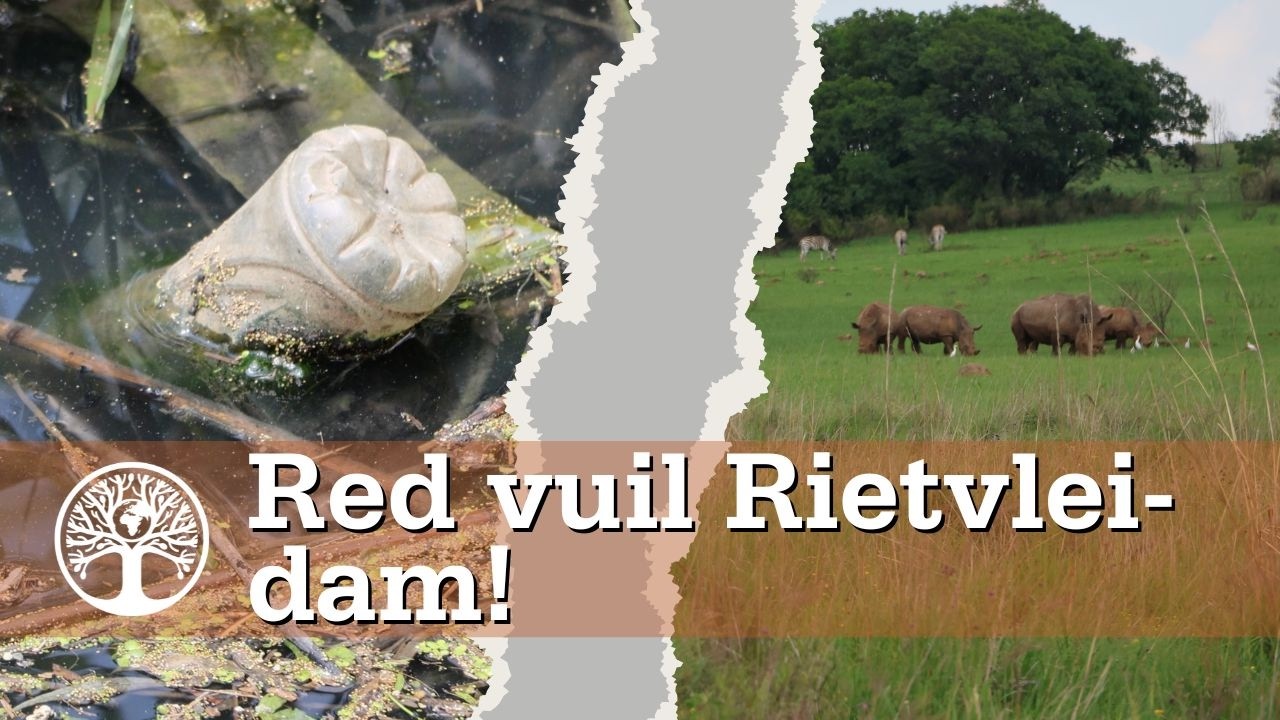 Erge besoedeling by Rietvleidam wek kommer
