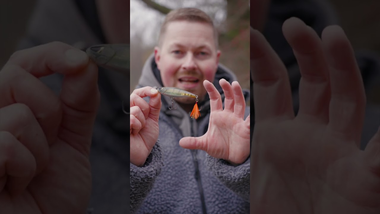 Tag 21 - Raubfisch Adventskalender 2025 #zeckfishing