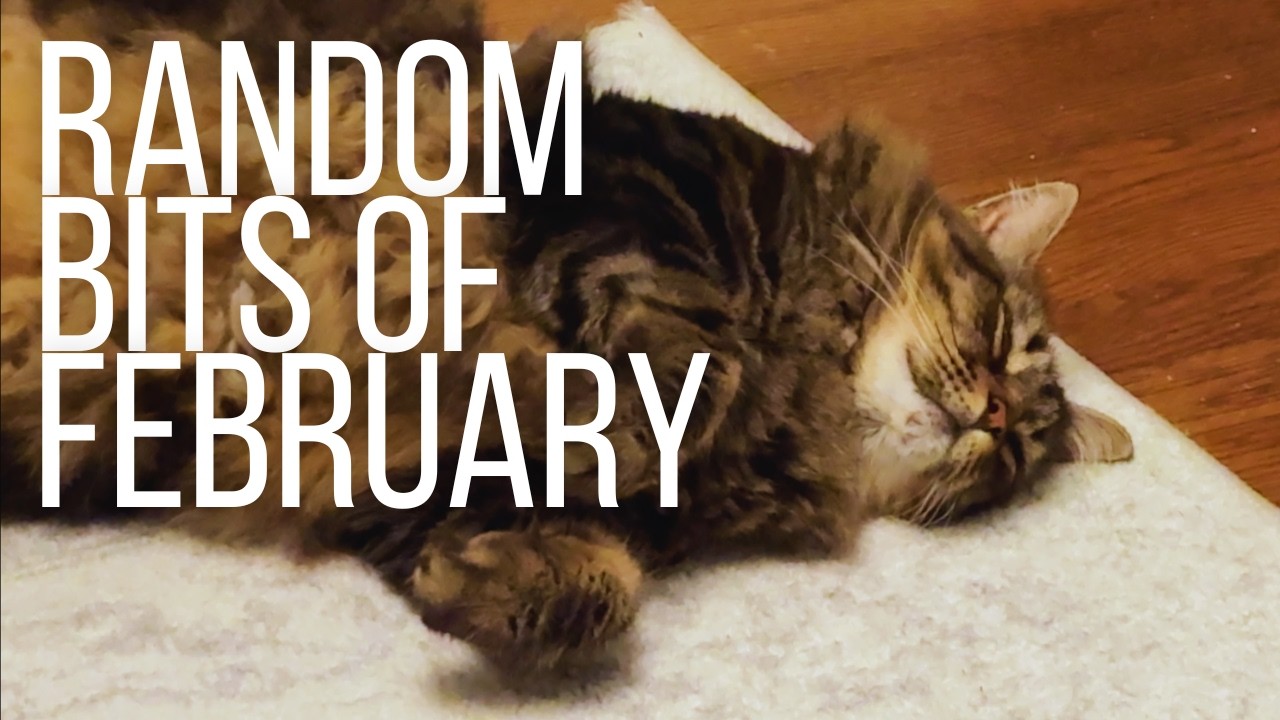 End of February Vlog, RVA Bookstores, Vinyl Listening Party, Mini Q & A Session, Catching Up