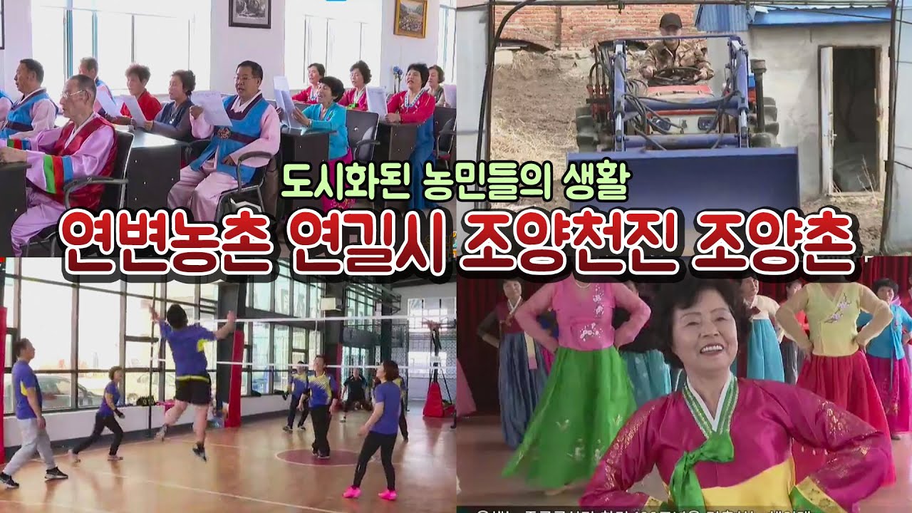 연변농촌생활 연길시 조양천진 조양촌 도시화된 농촌풍경