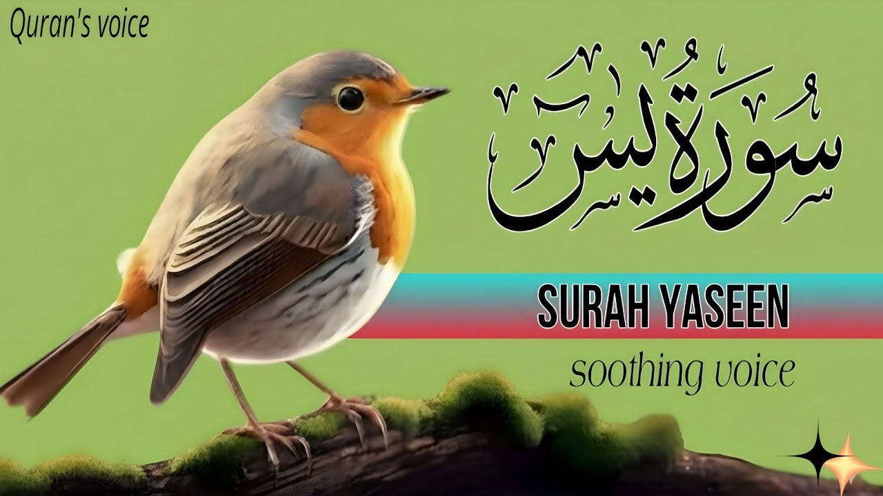 Surah Yaseen most beautiful and heart touching recitation by Shaikh Ala'a Aqel 