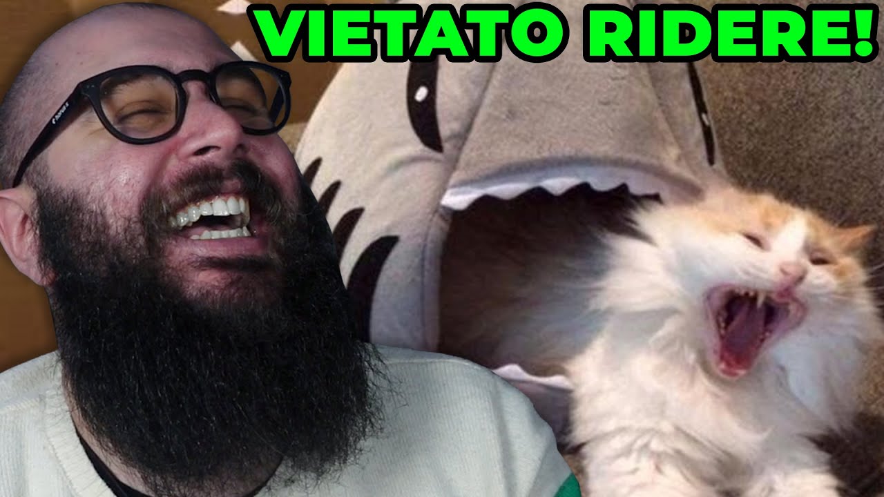 Riusciranno i Miei Sub a Farmi Ridere?