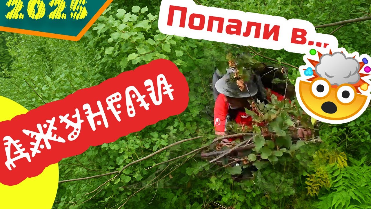 Шли к озеру, а ОКАЗАЛИСЬ В ДЖУНГЛЯХ 😲🤯❓❓❓