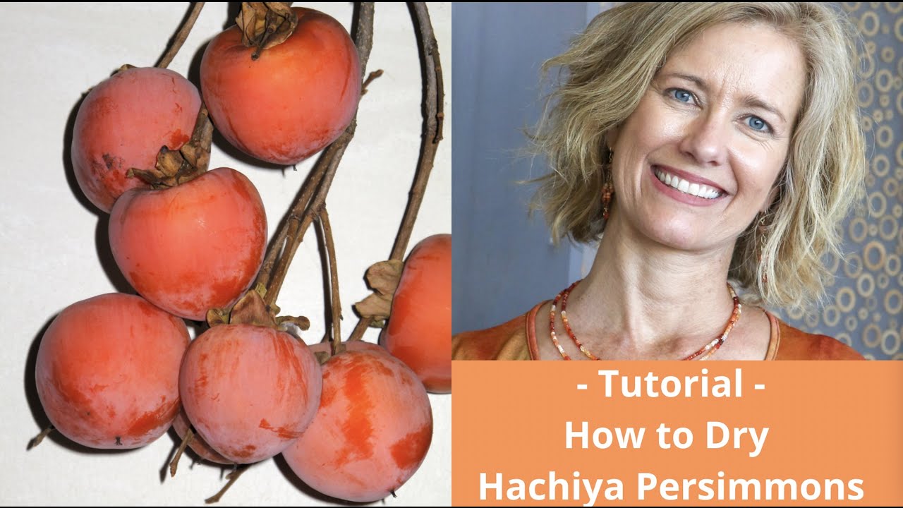 How to Dry Hachiya Persimmons - Tutorial