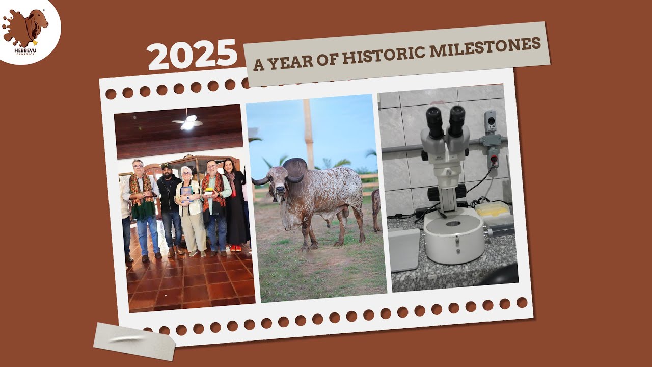 2025 - A year of Historic Milestones