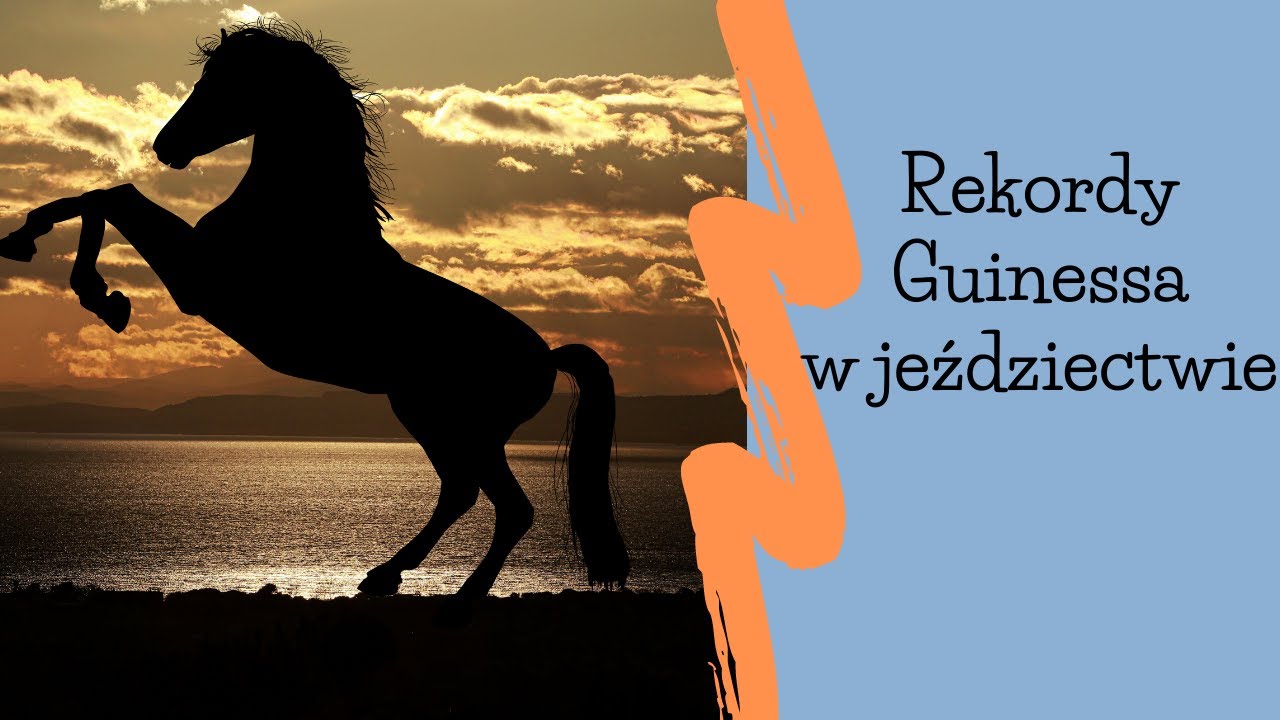 Rekordy Guinessa w jeździectwie