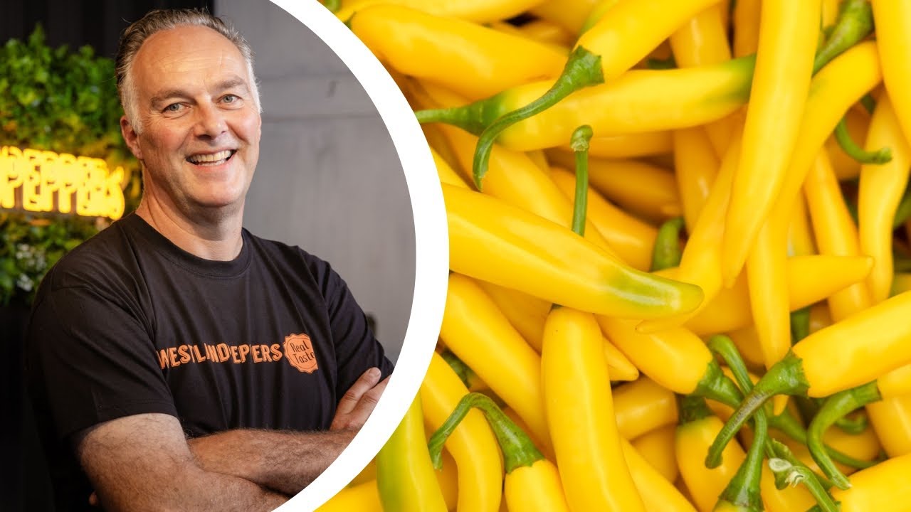 The story of Berg Hortimotive | Episode 1: Westlandpeppers about the BeNomic Star