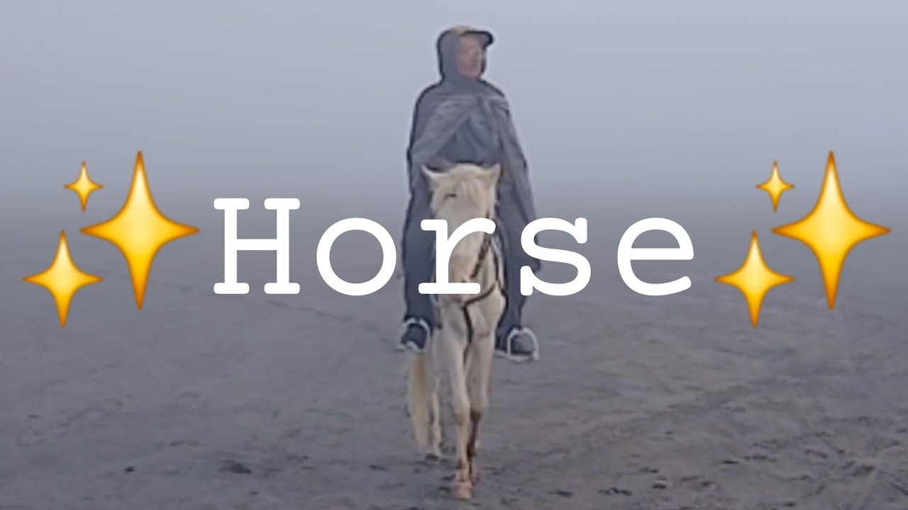 Intro with a man riding a horse on the cover
