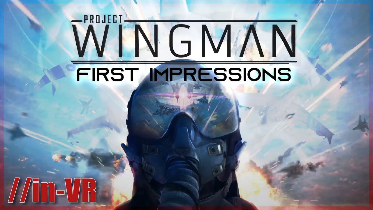 Project Wingman //In-VR : First Impressions (No spoilers)