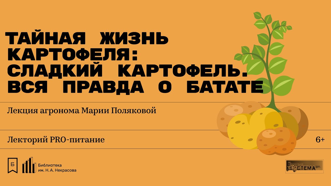 «Сладкий картофель. Вся правда о батате». Лекция агронома-картофелевода Марии Поляковой