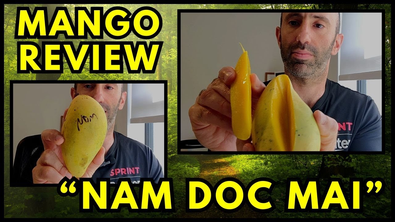 Mango Review: Nam Doc Mai!