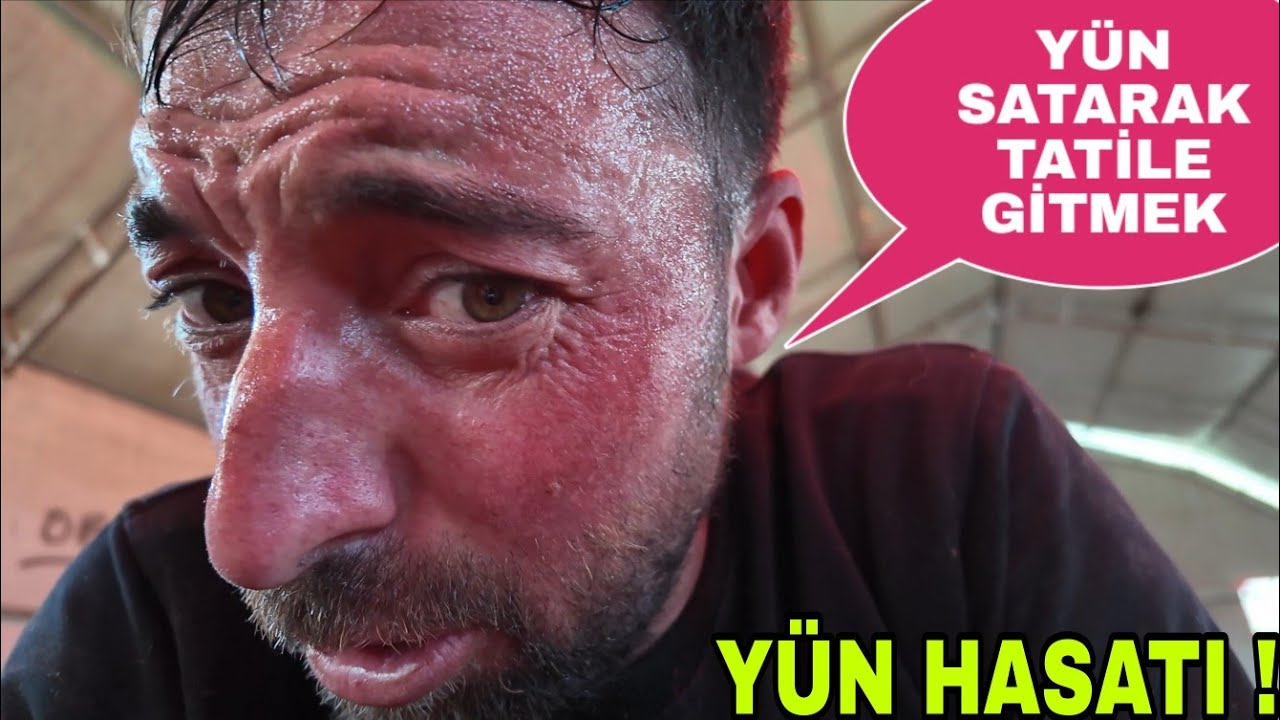 YÜN SATALIM TATİLE GİDELİM DEDİK..AMA!!163 KOYUN 5 SATTE KIRKIM..