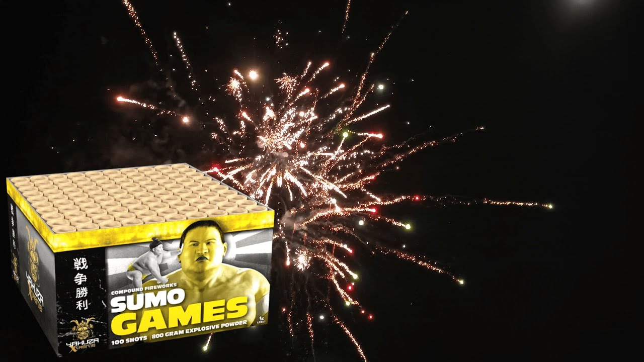 Lesli Sumo Games - Silvester 2025