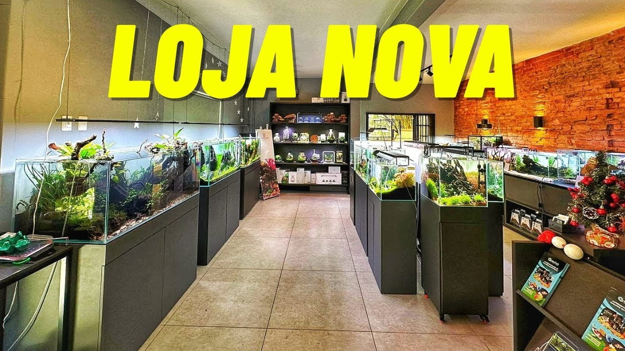 VISITEI UMA LOJA NOVA SIMPLESMENTE LINDA D+!!!