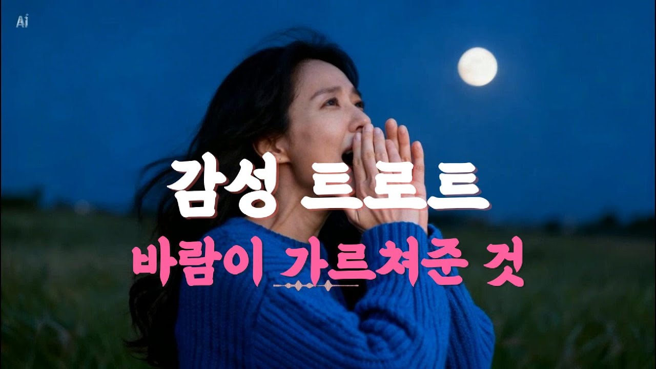 바람이 가르쳐준 것, 감성트로트