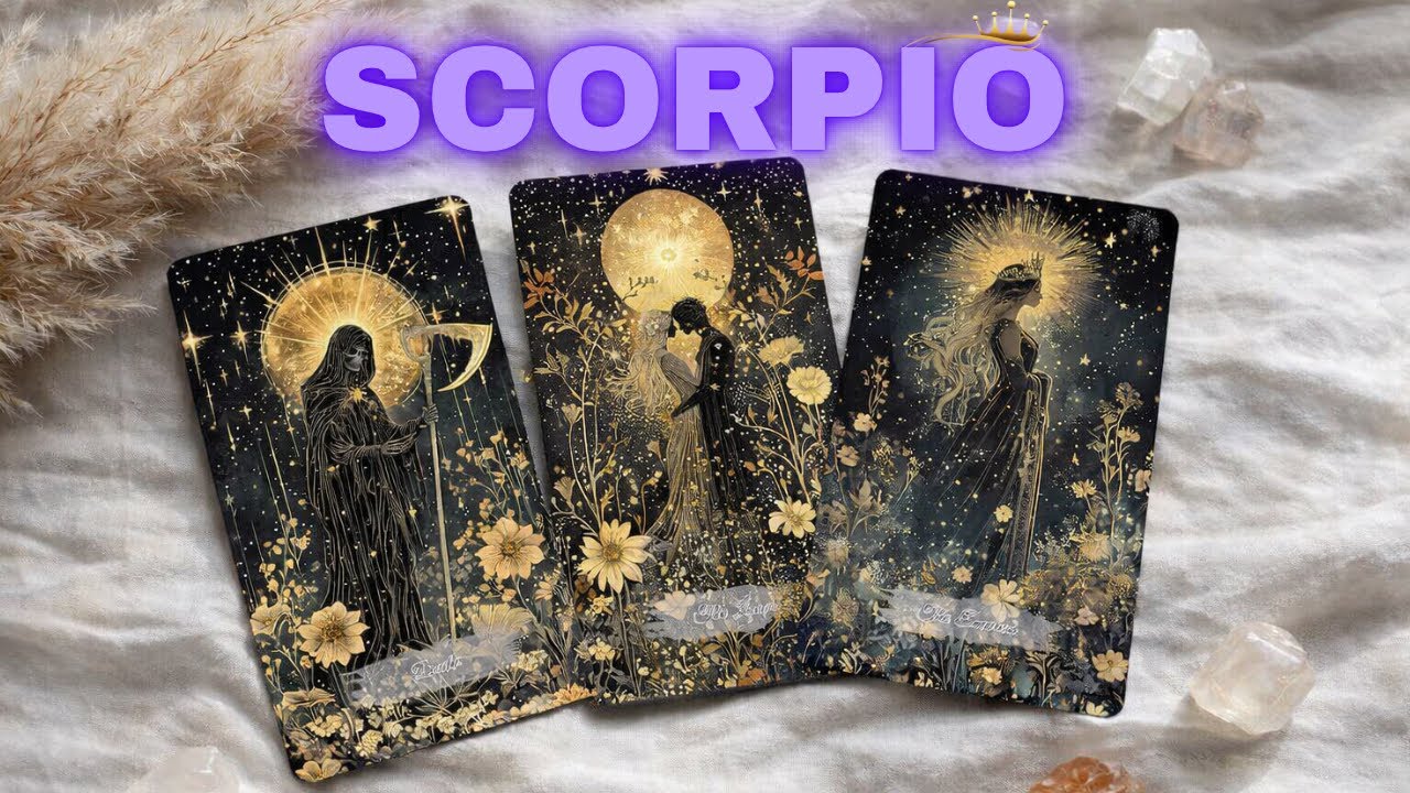 SCORPIO 😍U TWO WILL BE TOGETHER SOON💌THEIR ACT IS TO KEEP SOMEONE IN TACT🎭NOTHING IS AS IT SEEMS💥