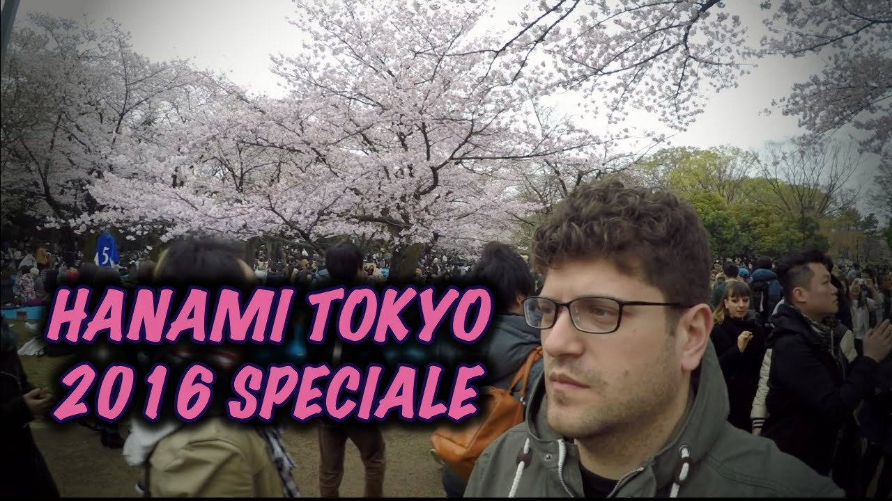 HANAMI SPECIALE A UENO