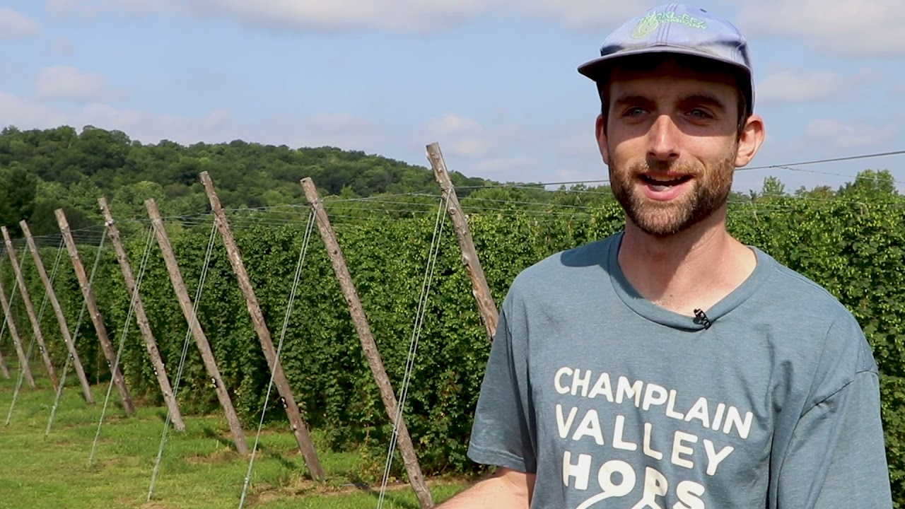 Finding New Ways to Farm: Hop Growers Bring New Life to Vermont’s Working Lands