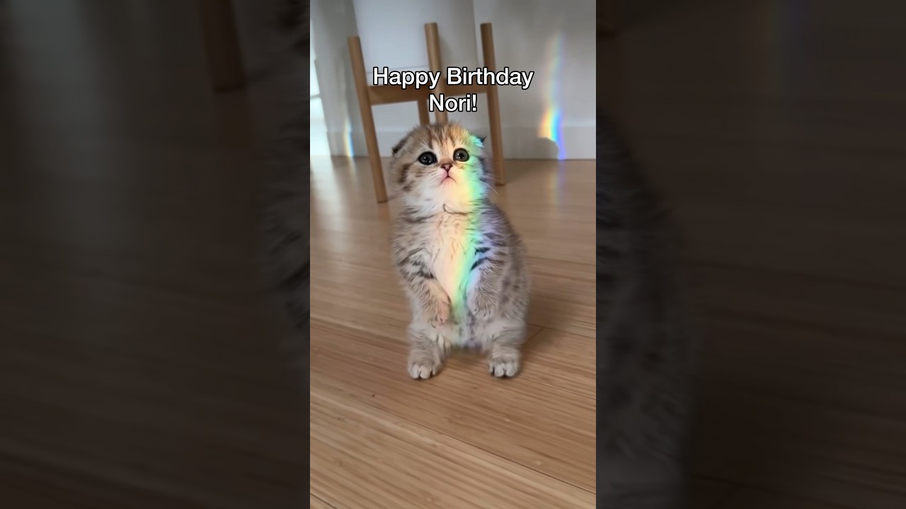 Our little munchkin is 2!