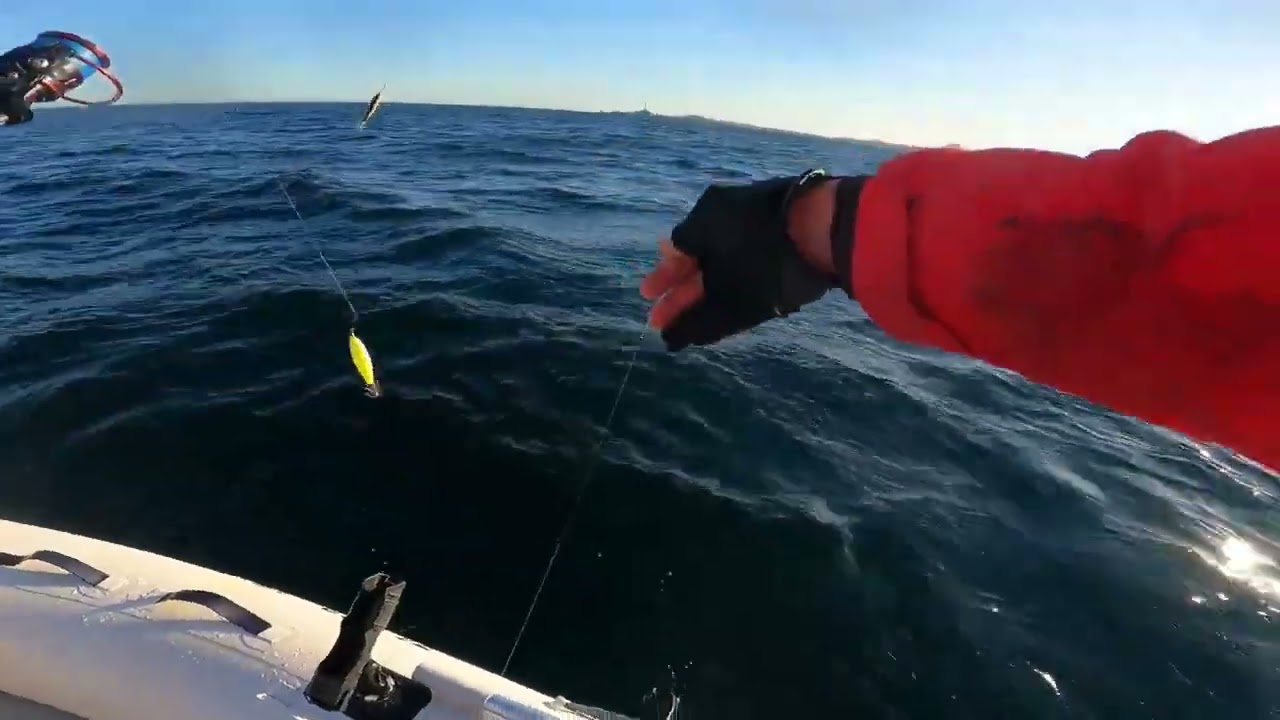 Jornada de calamares en vertical y curricán La Manga