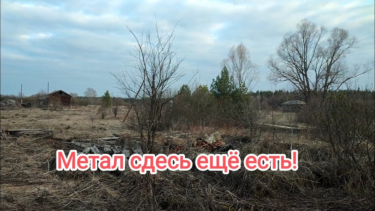 Я сюда вернусь! Металла сдесь ещё много.Сдача накопаного! Цены на приемке!