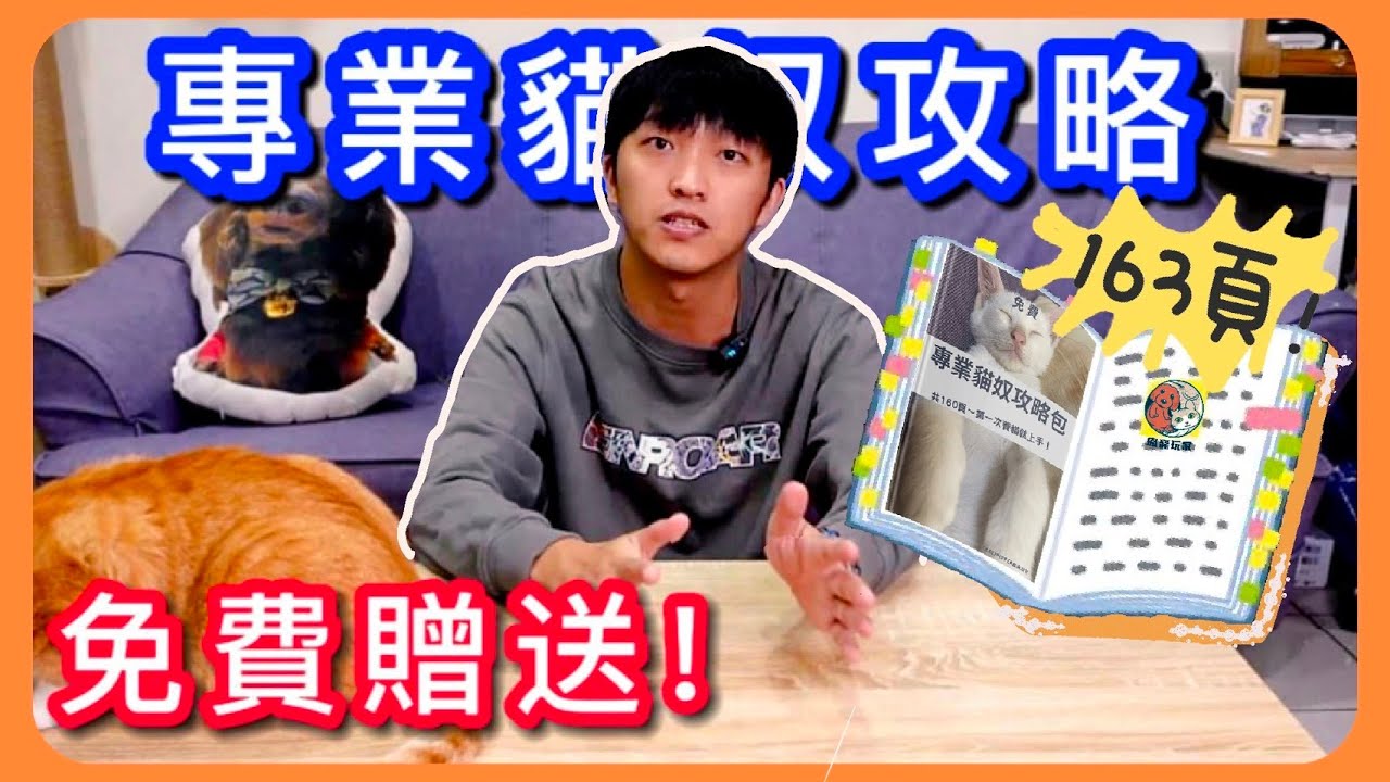 【八年養貓親身經歷】免費送你我寫的163頁專業貓奴攻略包!新手養貓前必看!