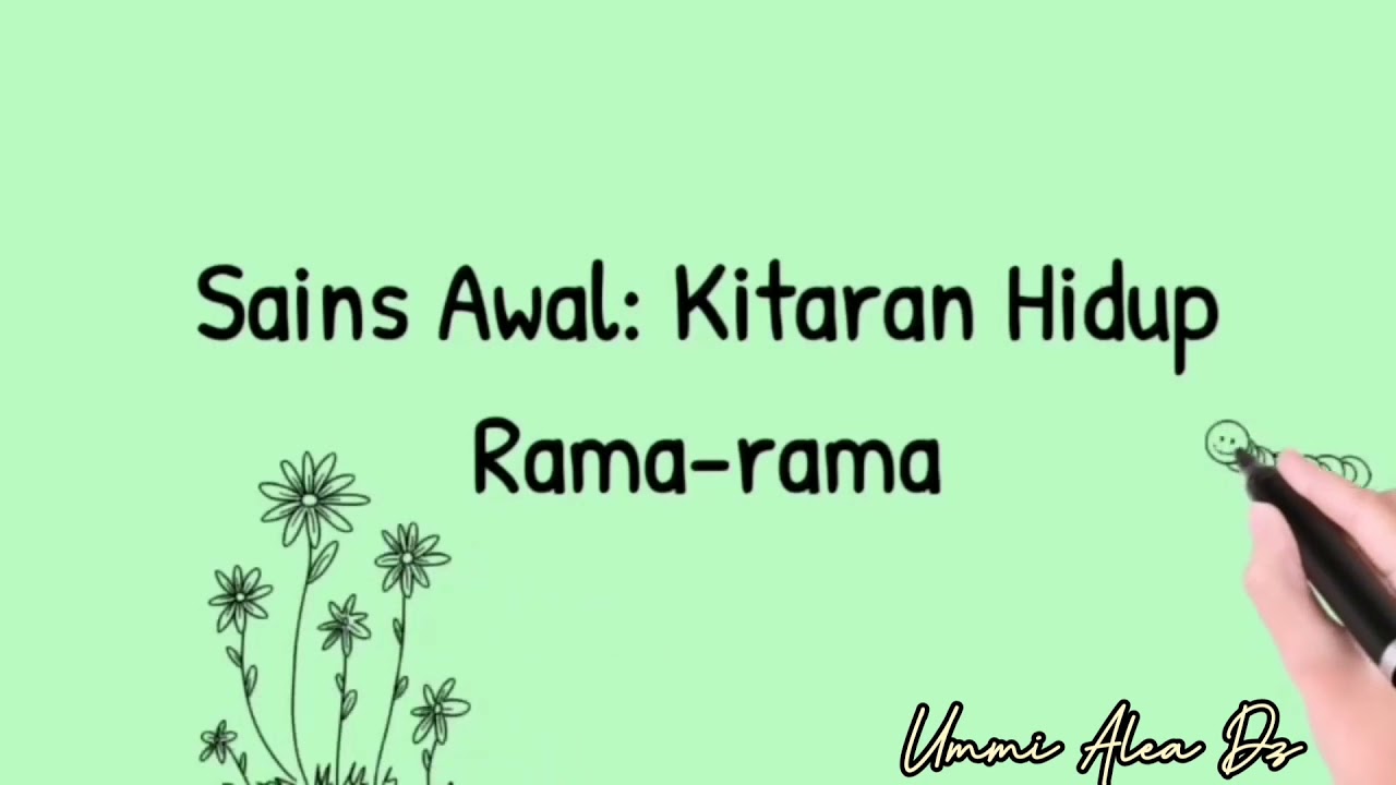 Sains Awal Prasekolah: Kitaran Hidup Rama-rama