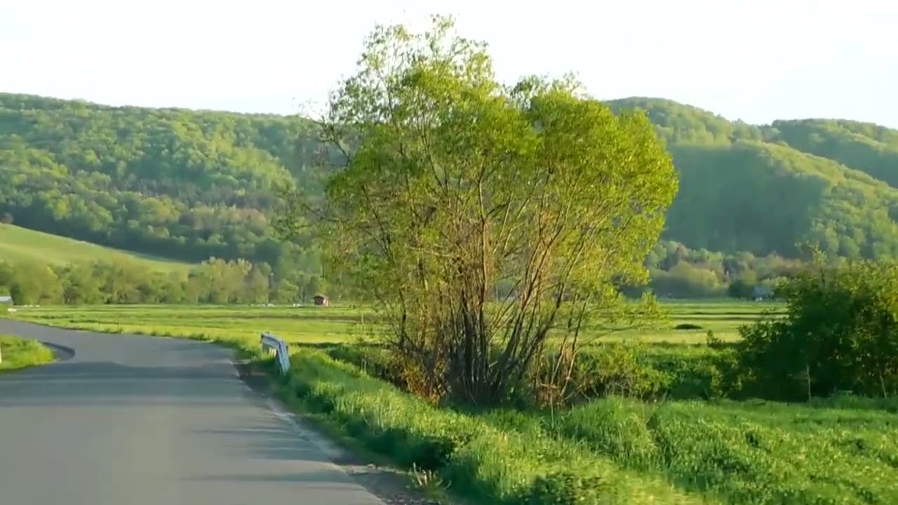 Jazda wzdłuż Sanu -Driving along the San River