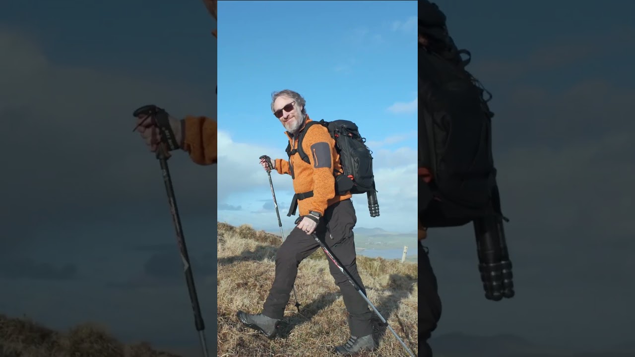 Жестокое обращение с Эдлером со стороны @DiarmuidODonovan