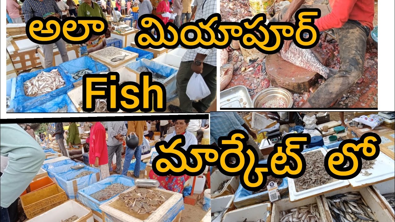 ala miyapur fish market lo #youtubevideo #food #cooking #fishmarket #miyapur #youtubevlogger