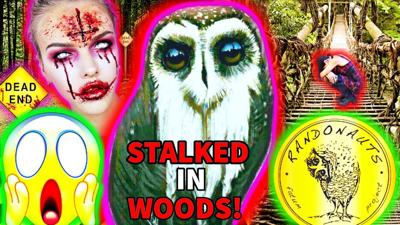 SCARIEST RANDONAUTICA EXPERIENCE - STALKED IN WOODS BY DEMON (Terrifying Banshee Scream Caught)