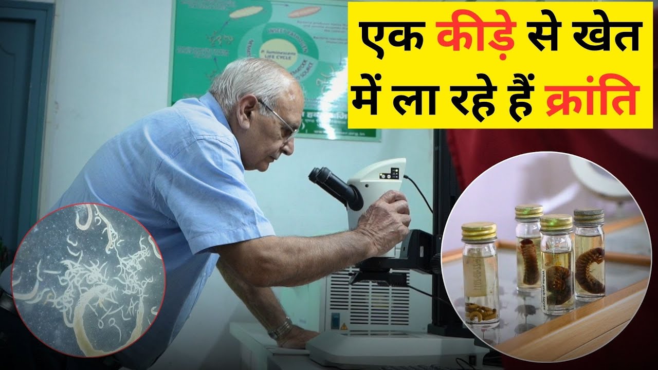 बिना प्रेस्टीसाइड खेतों में कीड़ों का जड़ से समाधान करवा रहे हैं जेपी सिंह! आप भी सीखें