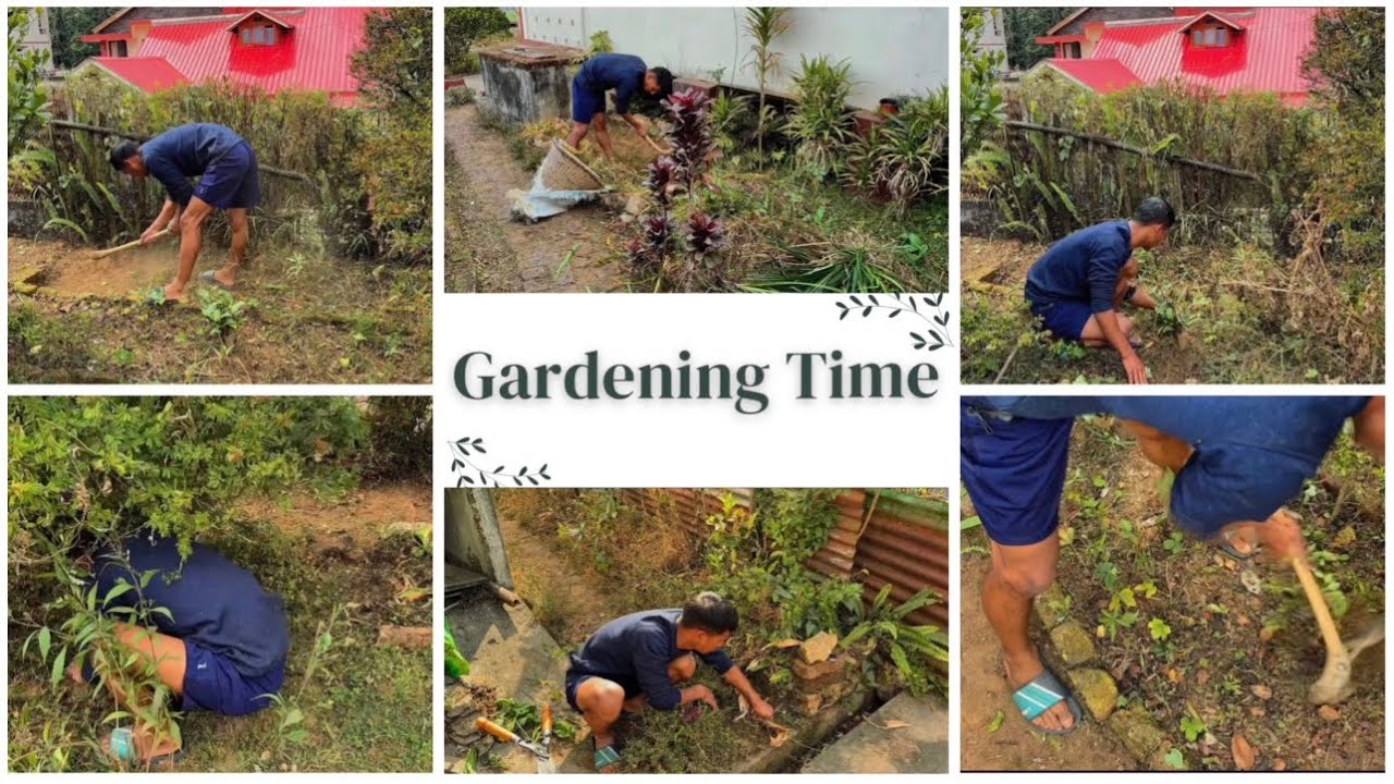 TRAVEL WITH BOLTI: GARDENING TIME! #gardening #cleaning #freetime 