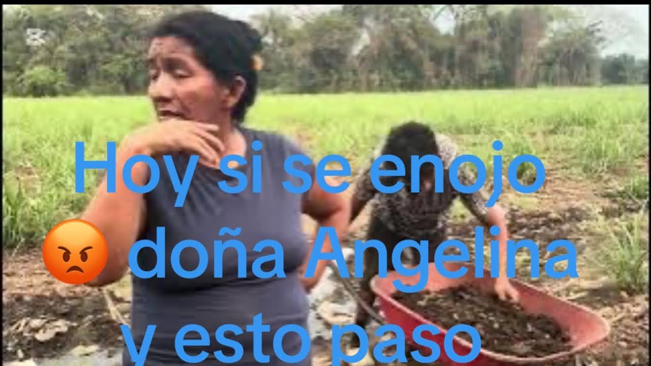 Doña angelina se armo de valor y vean lo que hizo y 