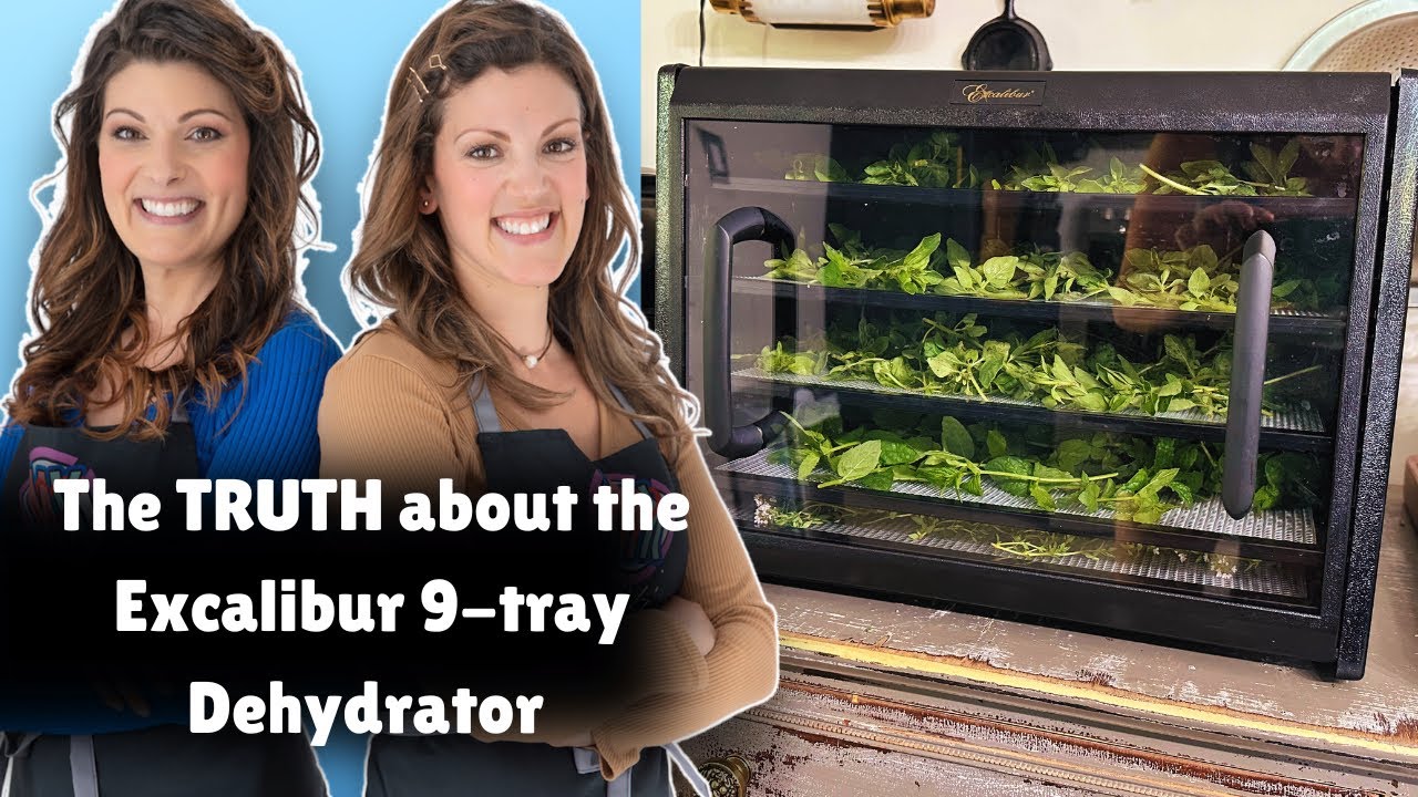 What you need to know before you buy! Excalibur 9-tray Electric Food Dehydrator Review