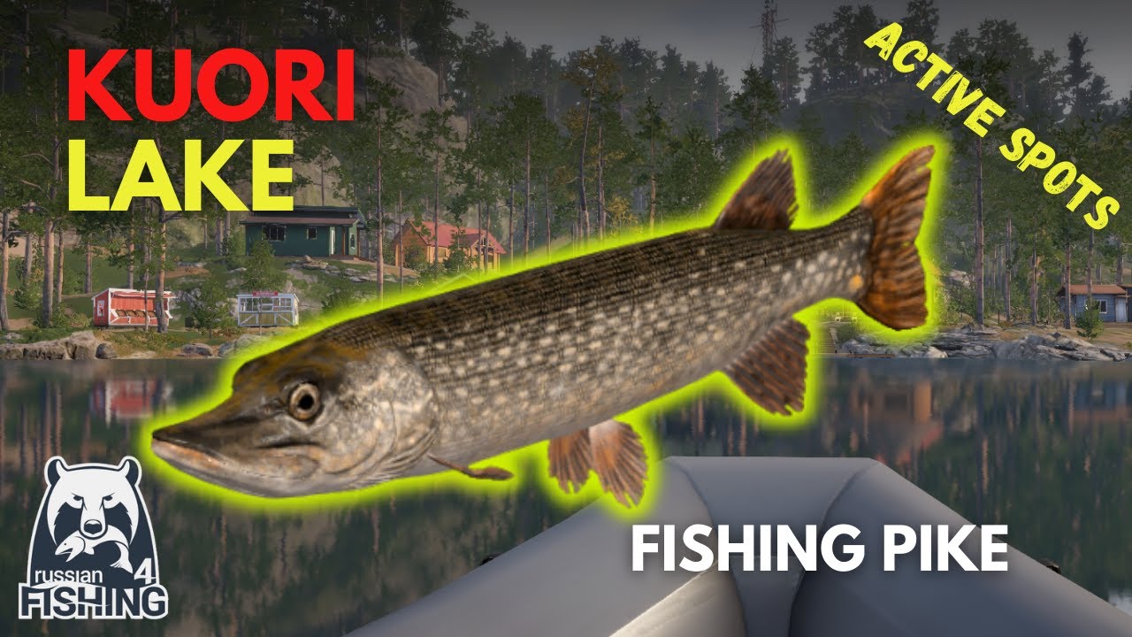 Pike Fishing in Kuori Lake | Spinning RF4