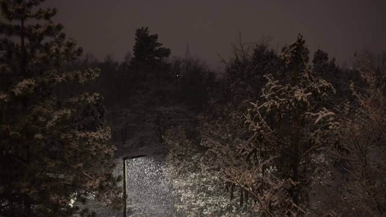 Bad Homburg / Taunus / Frankfurt Snowfall with accationly Street sounds