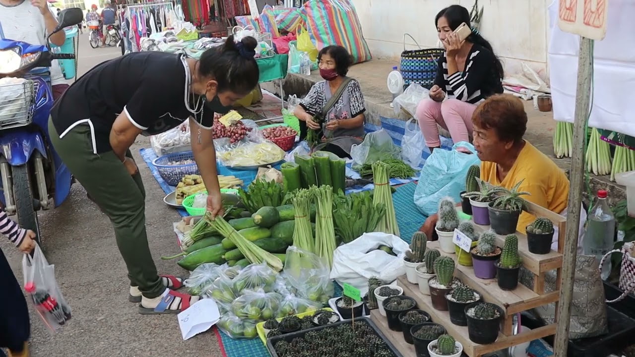 Thai Lao Market - That Phanom