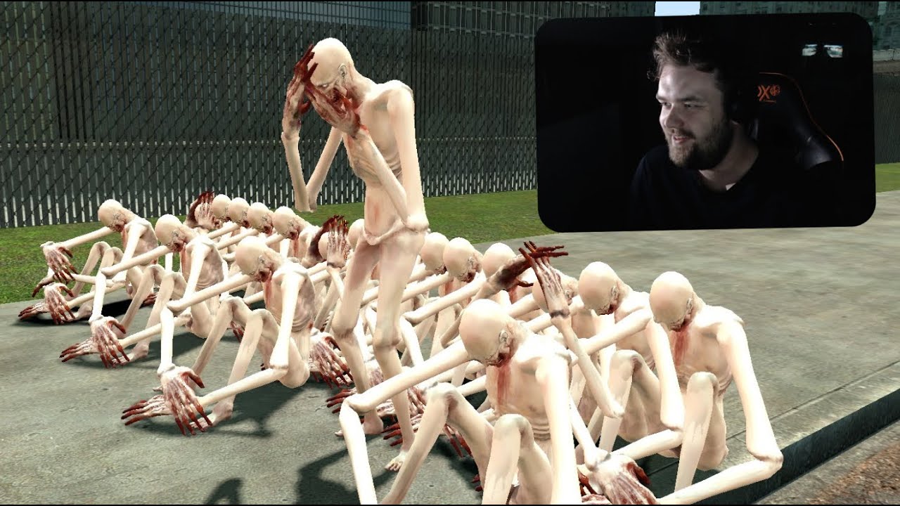 Я не думал, что когда-нибудь снова буду играть в Garry's Mod с @UltimaximWolf