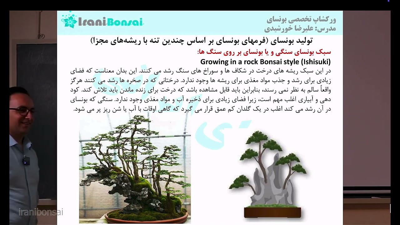 جلسه بیستم: آموزش فرم‌های بونسای چندتنه | بونسای طبیعی مثل جنگل در یک گلدان 🌲