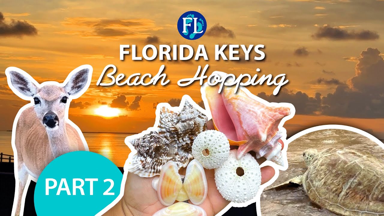 Part 2: Looking for Shells Beach Hopping in the Florida Keys